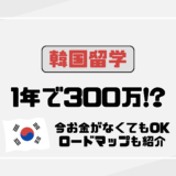 #54韓国留学で一年にかかる費用はいくら？社会人でもできる留学計画とは